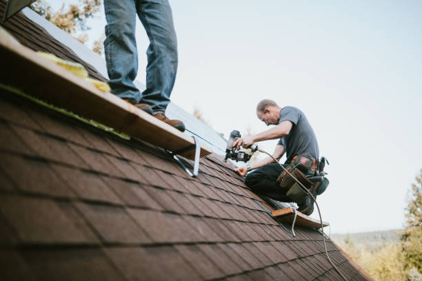 Best Roof Repair Services  in Brookneal, VA